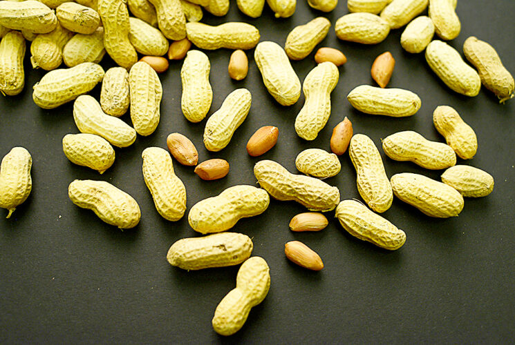 Advice spurs peanut allergy drop